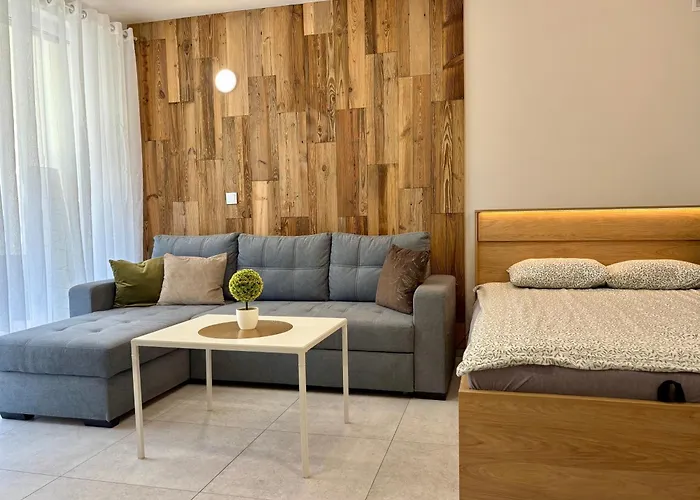 Apartamenty Na Slonecznej Gorze - Mietowy I Dziupla - Dream Apart